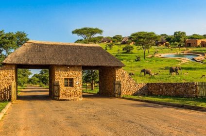  A beautiful thatched-roof stone entrance gate overlooking a lush green African savanna landscape with roaming elephants.
